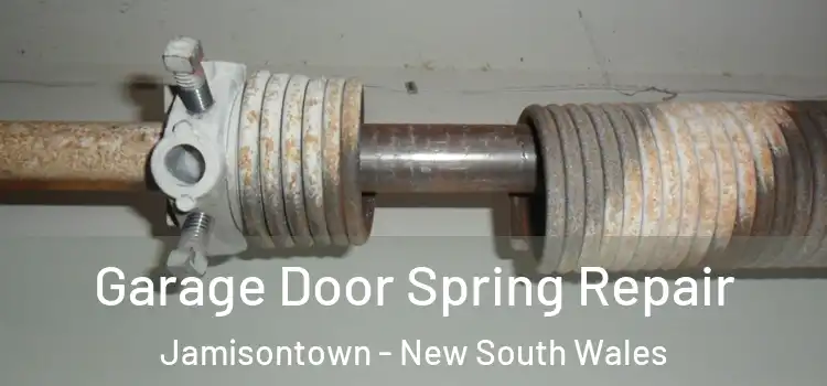 Garage Door Spring Repair Jamisontown - New South Wales