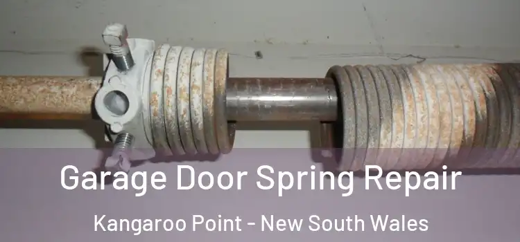 Garage Door Spring Repair Kangaroo Point - New South Wales