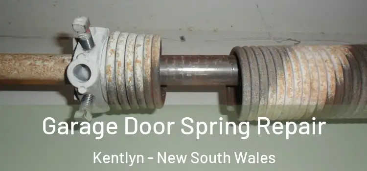 Garage Door Spring Repair Kentlyn - New South Wales