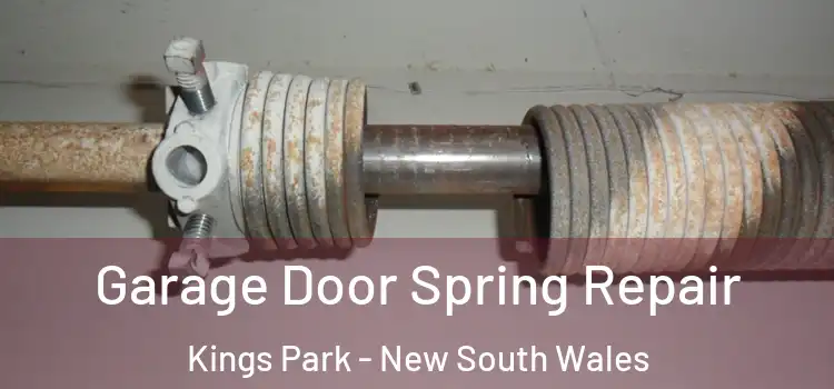 Garage Door Spring Repair Kings Park - New South Wales