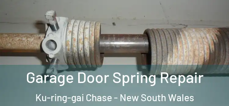 Garage Door Spring Repair Ku-ring-gai Chase - New South Wales