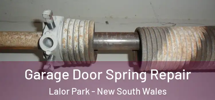 Garage Door Spring Repair Lalor Park - New South Wales
