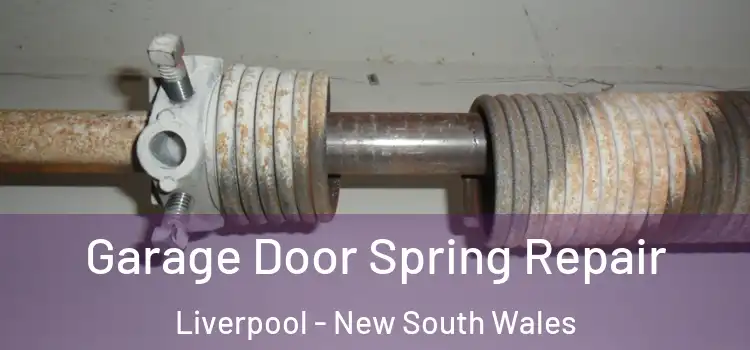 Garage Door Spring Repair Liverpool - New South Wales