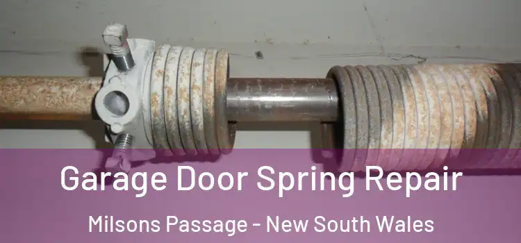 Garage Door Spring Repair Milsons Passage - New South Wales