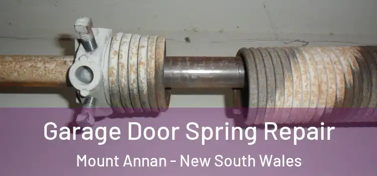 Garage Door Spring Repair Mount Annan - New South Wales