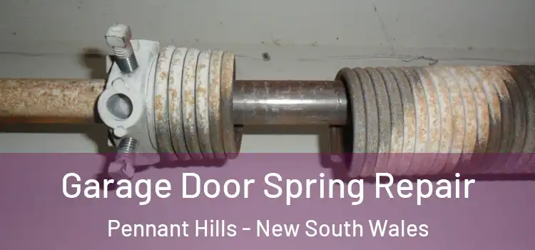Garage Door Spring Repair Pennant Hills - New South Wales