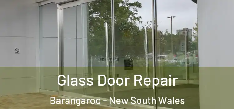 Glass Door Repair Barangaroo - New South Wales