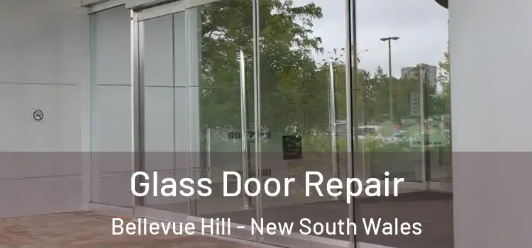 Glass Door Repair Bellevue Hill - New South Wales