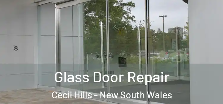 Glass Door Repair Cecil Hills - New South Wales