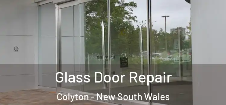 Glass Door Repair Colyton - New South Wales