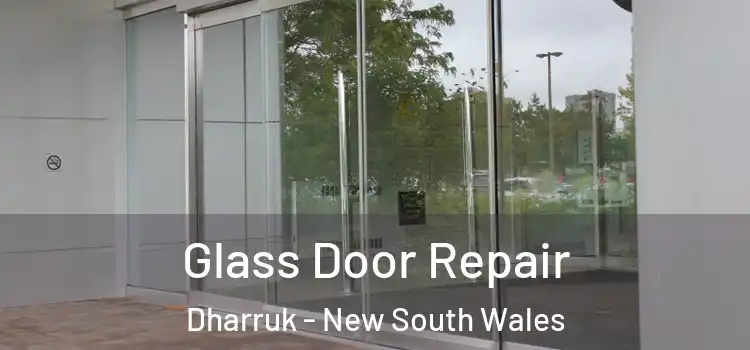 Glass Door Repair Dharruk - New South Wales