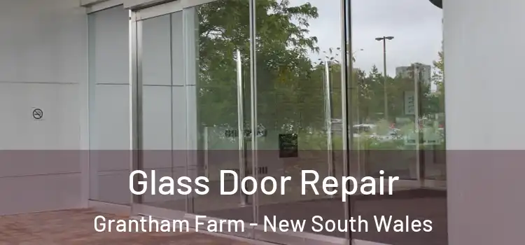 Glass Door Repair Grantham Farm - New South Wales