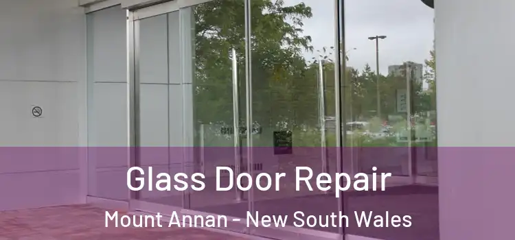 Glass Door Repair Mount Annan - New South Wales