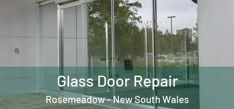 Glass Door Repair Rosemeadow - New South Wales
