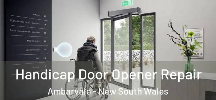 Handicap Door Opener Repair Ambarvale - New South Wales