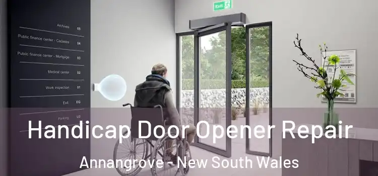 Handicap Door Opener Repair Annangrove - New South Wales