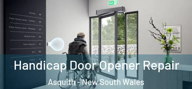 Handicap Door Opener Repair Asquith - New South Wales