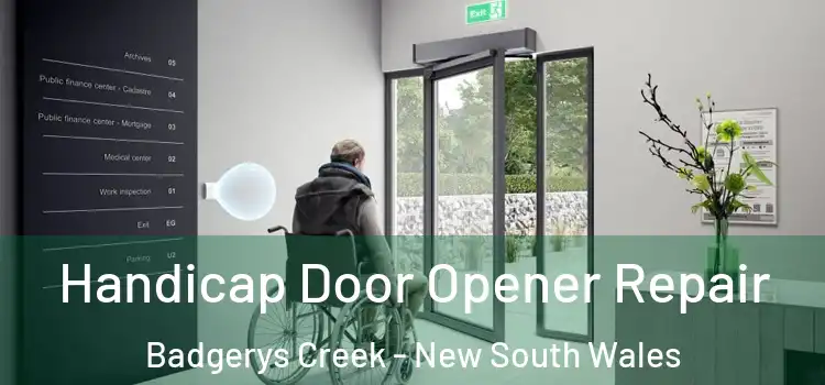 Handicap Door Opener Repair Badgerys Creek - New South Wales