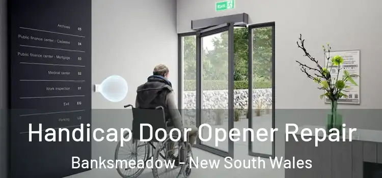 Handicap Door Opener Repair Banksmeadow - New South Wales