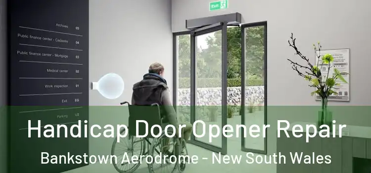 Handicap Door Opener Repair Bankstown Aerodrome - New South Wales