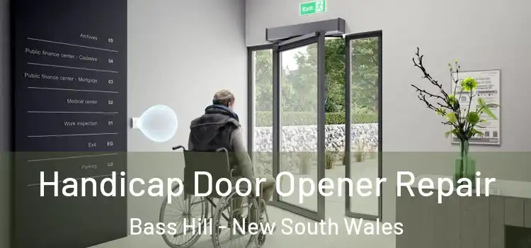 Handicap Door Opener Repair Bass Hill - New South Wales