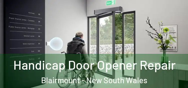 Handicap Door Opener Repair Blairmount - New South Wales