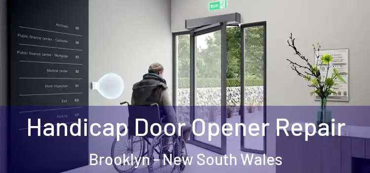 Handicap Door Opener Repair Brooklyn - New South Wales