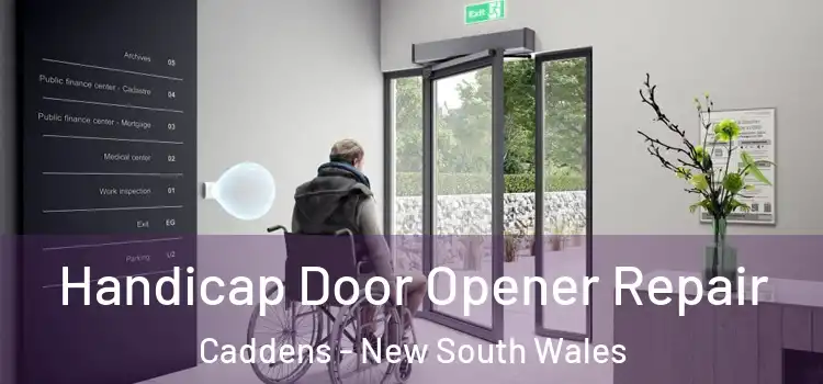 Handicap Door Opener Repair Caddens - New South Wales