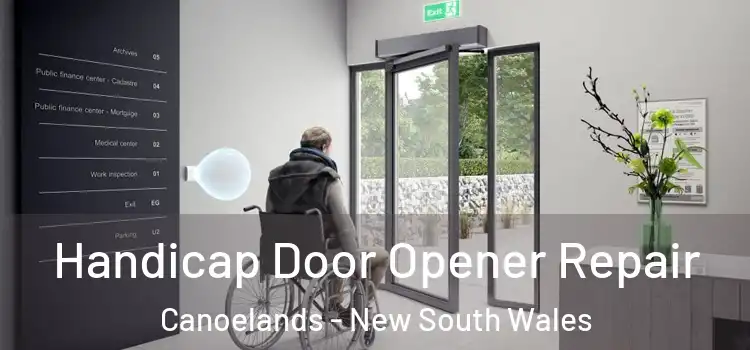 Handicap Door Opener Repair Canoelands - New South Wales