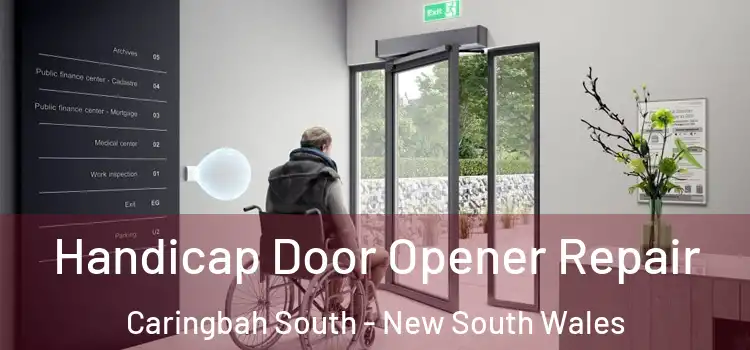 Handicap Door Opener Repair Caringbah South - New South Wales