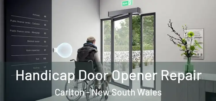 Handicap Door Opener Repair Carlton - New South Wales