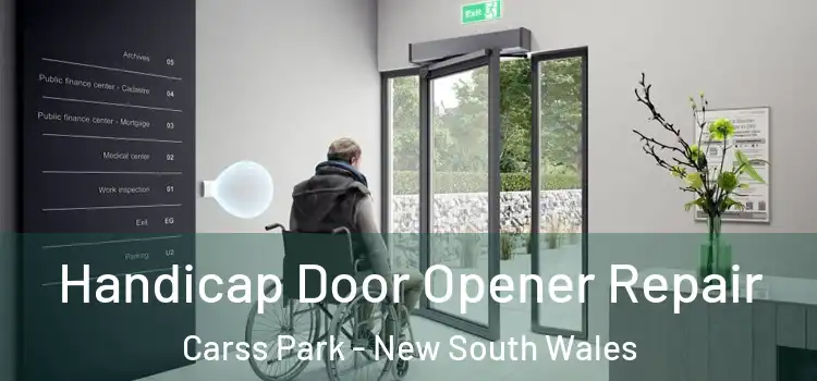 Handicap Door Opener Repair Carss Park - New South Wales
