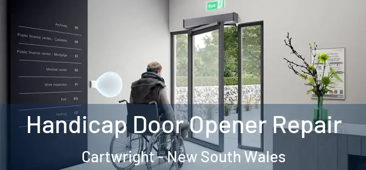 Handicap Door Opener Repair Cartwright - New South Wales