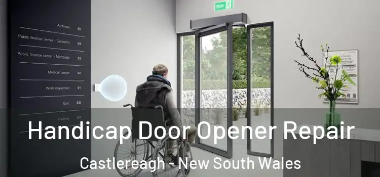 Handicap Door Opener Repair Castlereagh - New South Wales