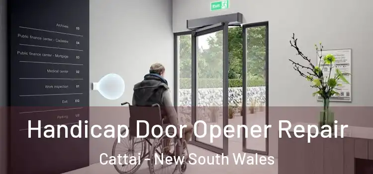Handicap Door Opener Repair Cattai - New South Wales