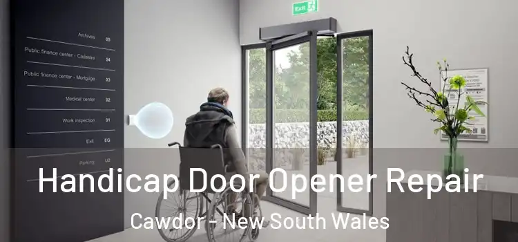 Handicap Door Opener Repair Cawdor - New South Wales