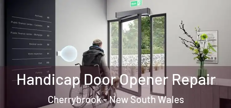 Handicap Door Opener Repair Cherrybrook - New South Wales