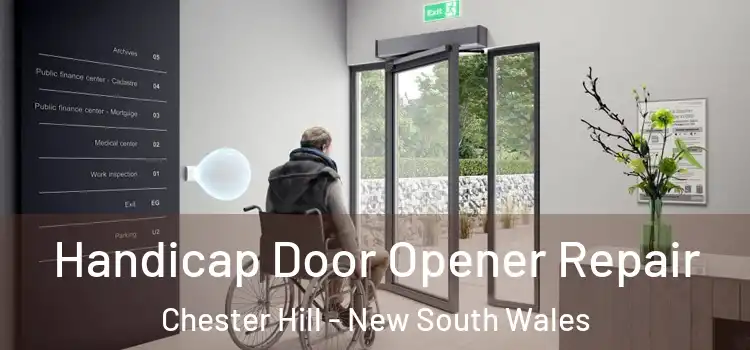 Handicap Door Opener Repair Chester Hill - New South Wales