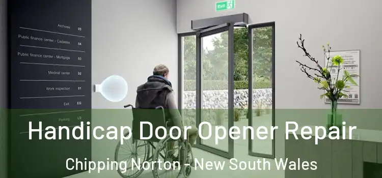Handicap Door Opener Repair Chipping Norton - New South Wales