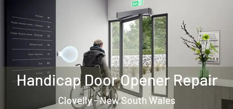 Handicap Door Opener Repair Clovelly - New South Wales