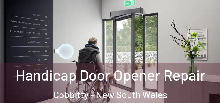Handicap Door Opener Repair Cobbitty - New South Wales