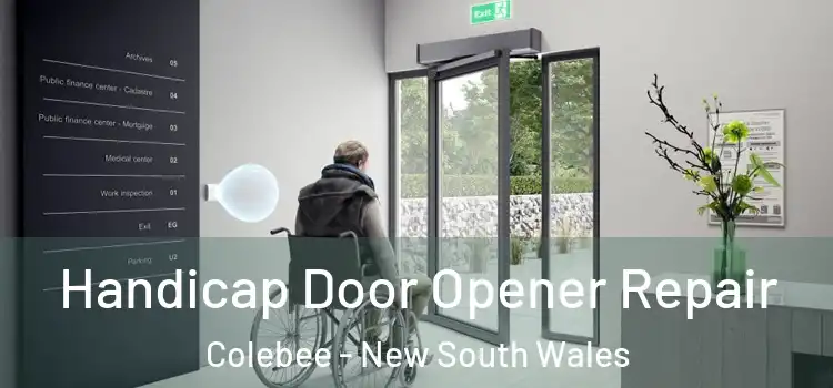 Handicap Door Opener Repair Colebee - New South Wales
