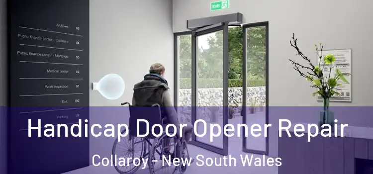 Handicap Door Opener Repair Collaroy - New South Wales