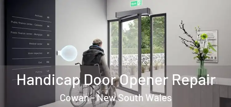 Handicap Door Opener Repair Cowan - New South Wales