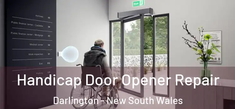 Handicap Door Opener Repair Darlington - New South Wales