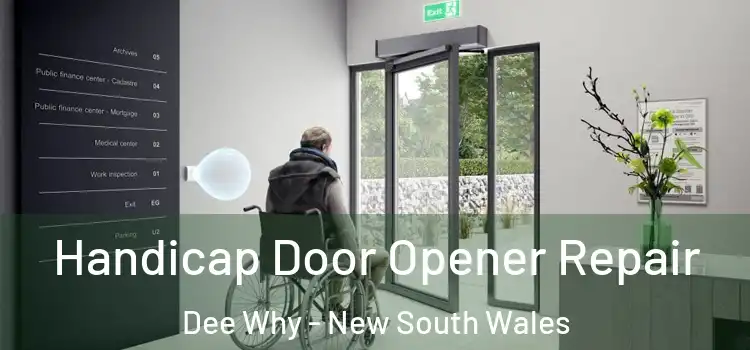 Handicap Door Opener Repair Dee Why - New South Wales