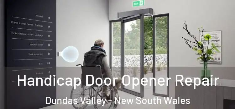 Handicap Door Opener Repair Dundas Valley - New South Wales