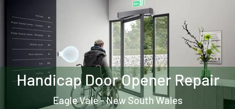 Handicap Door Opener Repair Eagle Vale - New South Wales