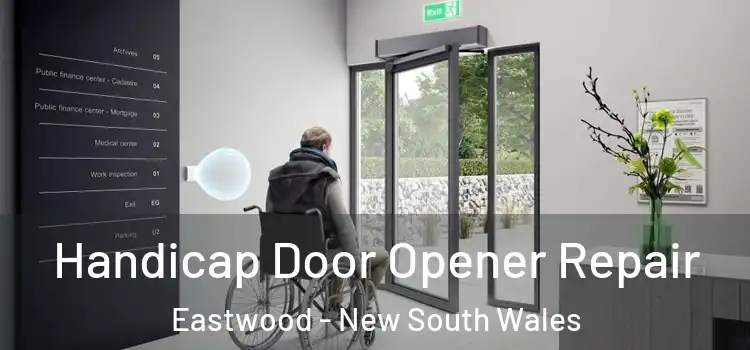 Handicap Door Opener Repair Eastwood - New South Wales