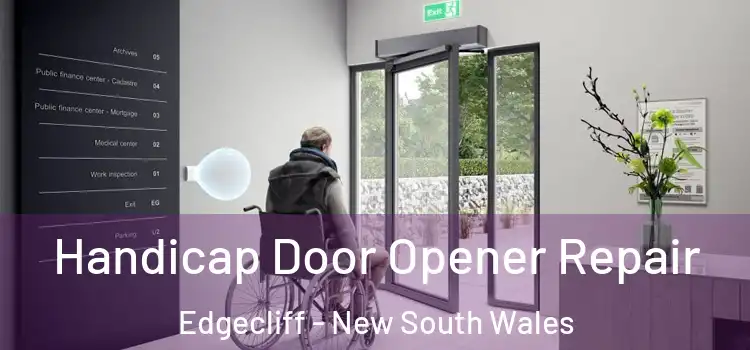 Handicap Door Opener Repair Edgecliff - New South Wales